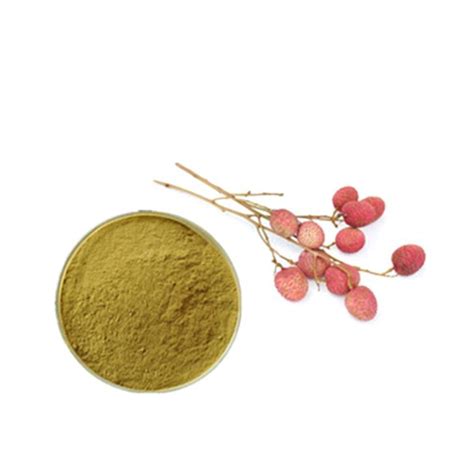 Lychee Seed Extract Suppliers and Manufacturers - Acheter de la poudre d’extrait de graines ...