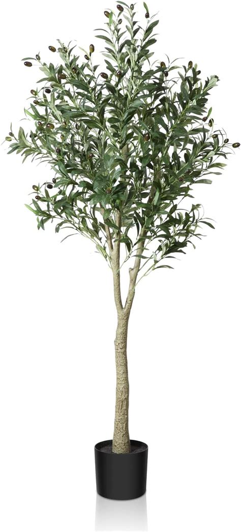 Amazon Basics Ficus Artificiel Avec Pot En Plastique Cm Vert