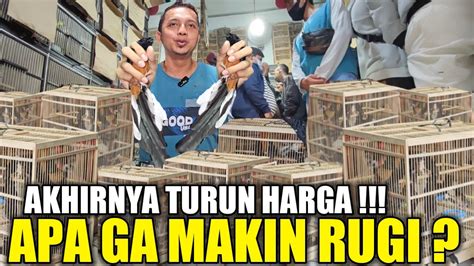 TERLALU MURAH MAS DIDI MAKIN PARAH RATUSAN MURAI TROTOL JAHAT MAKIN