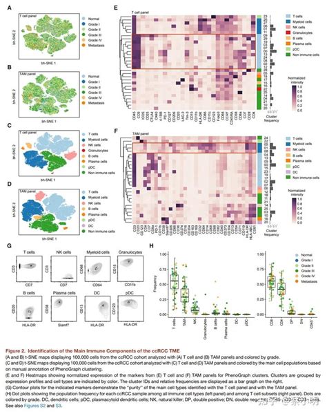 Nid An Immune Atlas Of Clear Cell Renal Cell Carcinoma