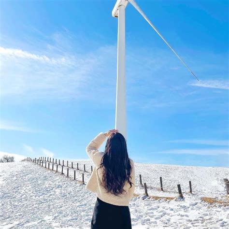 겨울강릉추천여행지 대관령 삼양목장 트립닷컴 강릉시