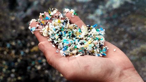 FAO E AIEA Insieme Per Combattere Flagello Delle Microplastiche Anche