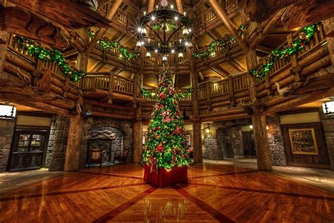 #888321 Christmas, Disneyland, USA, Parks, California, Christmas tree ...