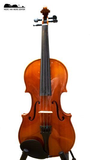 Đàn violin được làm từ gì? Cấu tạo đàn violin ra sao? - Học Violin uy ...