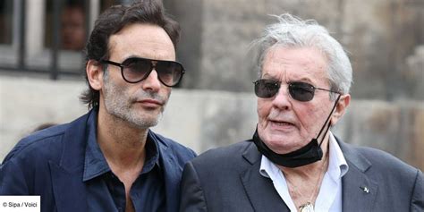 Alain Delon Plac Sous Sauvegarde De Justice Anthony Voque Une