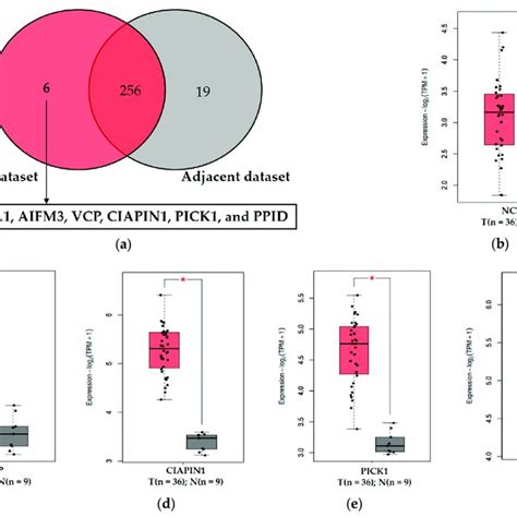 Expression Of Five Selected Mitochondrial Proteins In Cca And Normal