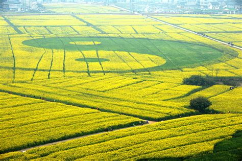 Tongnan District Chongqing Cn
