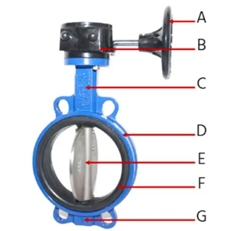 Butterfly Valve Vs Ball Valve Major Differences Between A Ball Valve