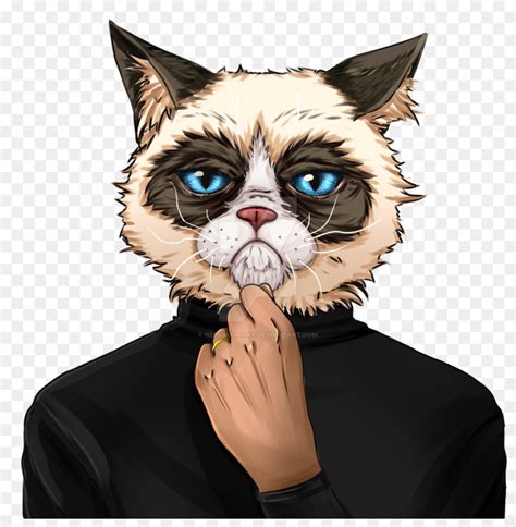 Gato Gatinho Grumpy Cat png transparente grátis