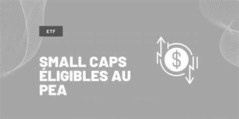 Les Meilleurs Etf Small Caps Ligibles Au Pea Online Asset