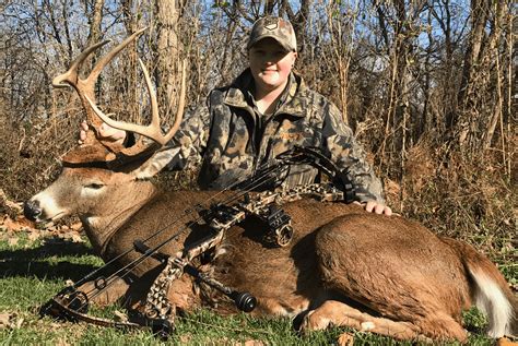 Whitetail Deer In West Virginia By Sarah Hough