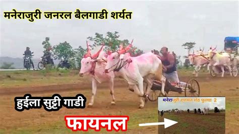 मनेराजुरी जनरल बैलगाडी शर्यत Manerajuri Bullcart Race Youtube