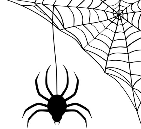 Svg Halloween Spider Free Svg Image Icon Svg Silh