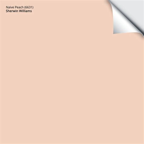 Naive Peach Paint Sample By Sherwin Williams Peel Stick