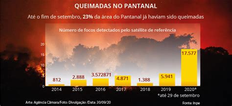 Entenda As Causas E Os Impactos Das Queimadas No Pantanal