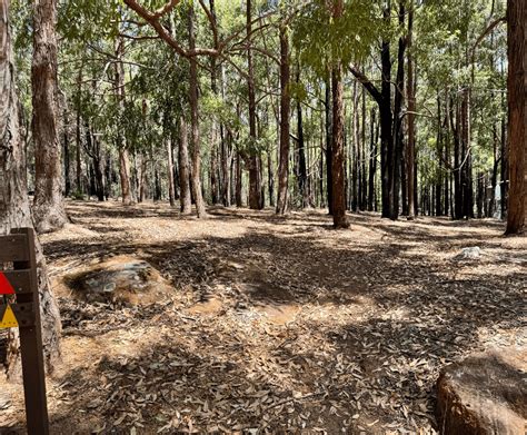 Ken Jones Trail Jarrahdale Trails Wa