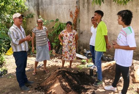 Projeto Prev Distribui O De Mil Mudas De Plantas At O Fim Do Ano