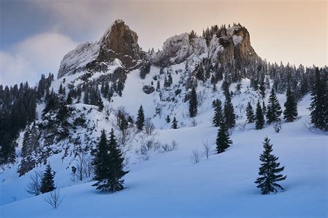 SPLITBOARDING on Behance