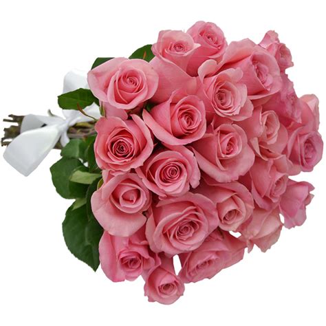 Buque De Rosas Cor De Rosa 24 Rosas Floricultura Cesta E Flor