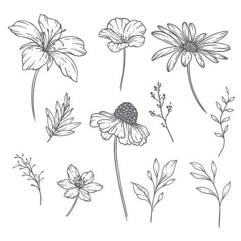 Wildflowers Line Art, Fine Line Wildflower Bouquets Hand Drawn Illustration. Coloring Page with ...