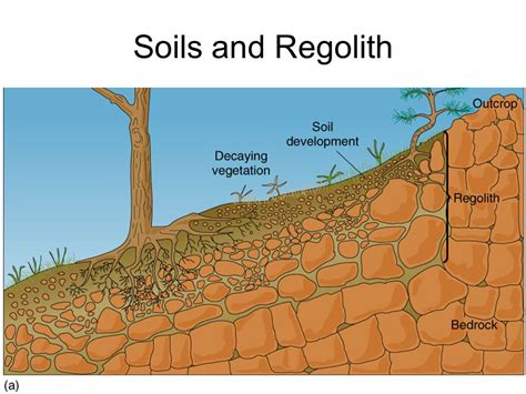 Soil Kaiserscience