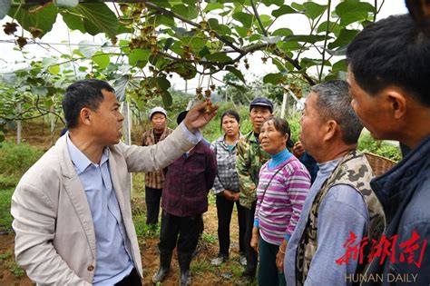 湖南高质量打赢脱贫攻坚战丨联点督查 问题清零湖南民生网