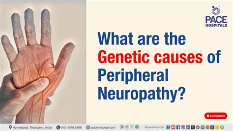 Genetic Cause Of Peripheral Neuropathy What Are The Genetic Causes Of