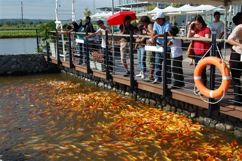 Visit Nuvali A Tourist Attraction Outside Tagaytay Tagaytay Condo