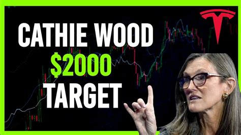 Cathie Wood Tesla Target Tsla Spy Nvda Coin Meta Amzn