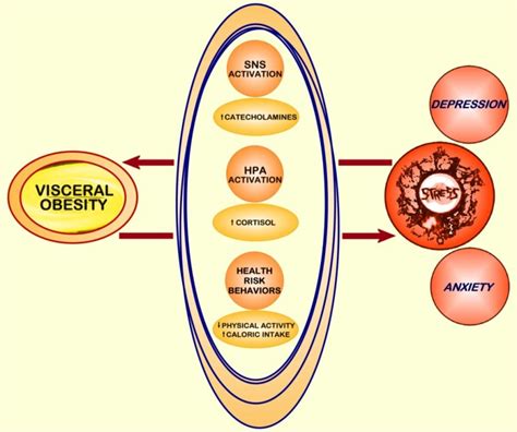 Clinical Problems Caused By Obesity Endotext Ncbi Bookshelf