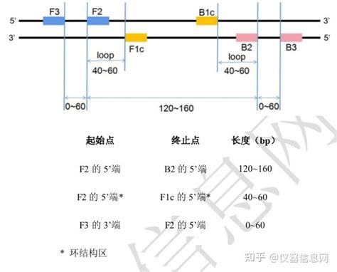 Pcr 实战宝典 No6：环介导等温扩增lamp 知乎