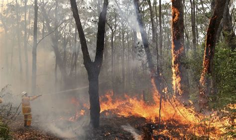 Photos: Australian bush fires | CNN