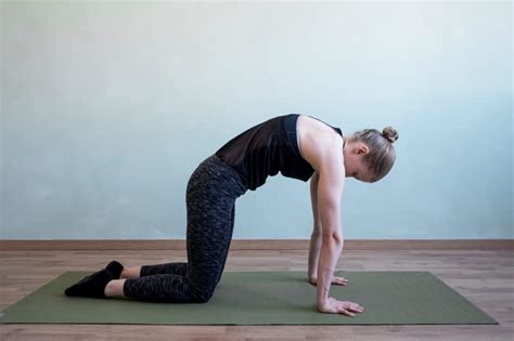 6 Daily Back Stretches For Flexibility And Spinal Health