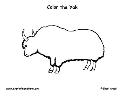 Yak Coloring Page