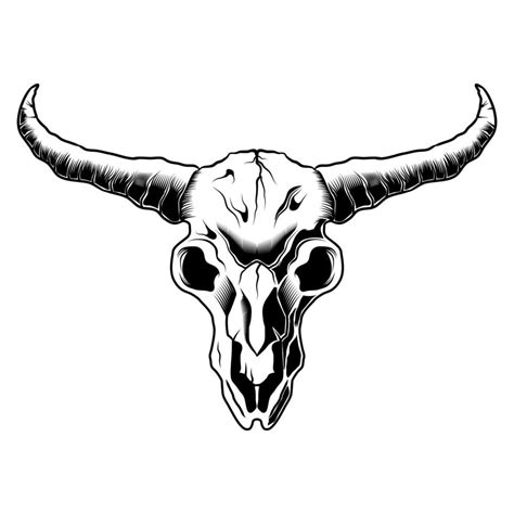 Skull Bull Head Black And White Drawing Longhorn Artistic Vector