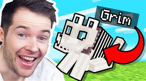 Sale > dantdm minecraft dog > in stock