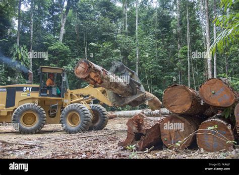 Stacking Timber Hi Res Stock Photography And Images Alamy