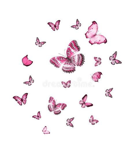 Flock Of Flying Butterflies Isolated Stock Illustration Illustration