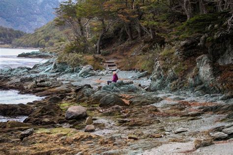 Subí al Tren del Fin del Mundo y explorá el Parque Nacional Tierra del