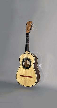 Mexico Vihuela Hartenberger World Musical Instrument Collection