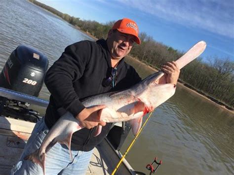 Spoonbill Paddlefish on Fort Gibson - 4/8/16 - Lance's Fishing Guide Service (918) 607-7357