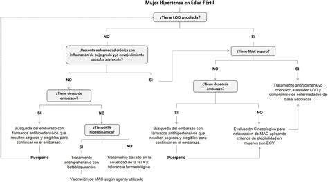 Hipertensi N Arterial En La Mujer En Edad F Rtil No Gestante Medicina