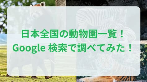 2024年版 日本全国の動物園一覧！知らない動物園もあるかも！？