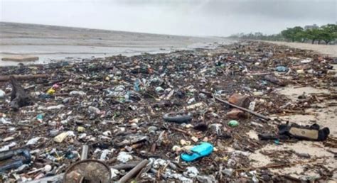 Reciclagem De Pl Sticos Um Desafio Oculto