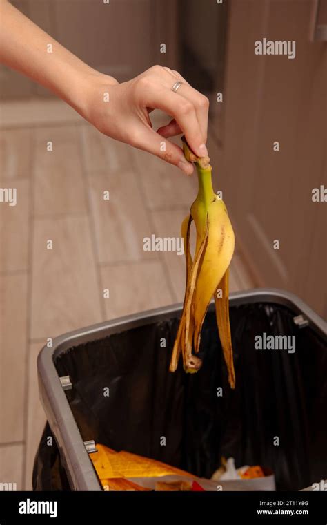 Woman Putting Banana Peel In A Trash Bin Kitchen And Home Stock Photo