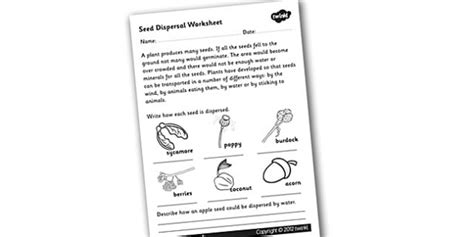 Free Seed Dispersal Worksheet Science Resource