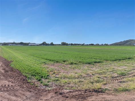 Woodruff Farm Ag Lands Southwest