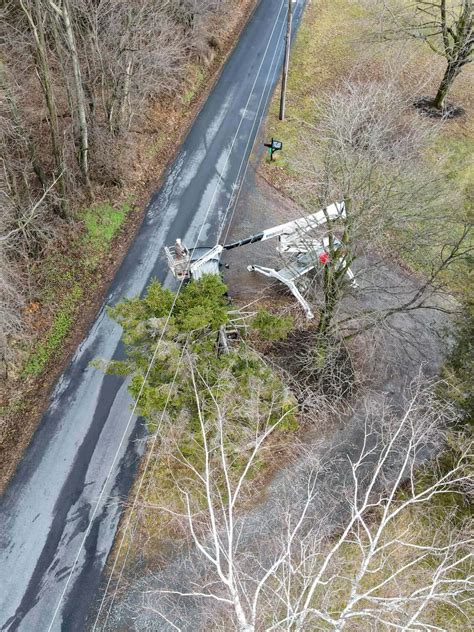 Tipping Timber Tree Removal - Just Plain Business