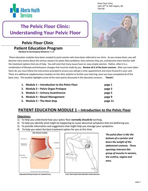 Pelvic Floor Exercises Handout