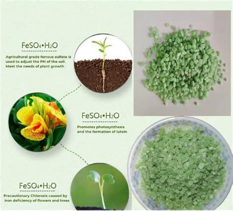 Ferrous Sulfate Heptahydrate For Plant Fertilizer Cas Feso